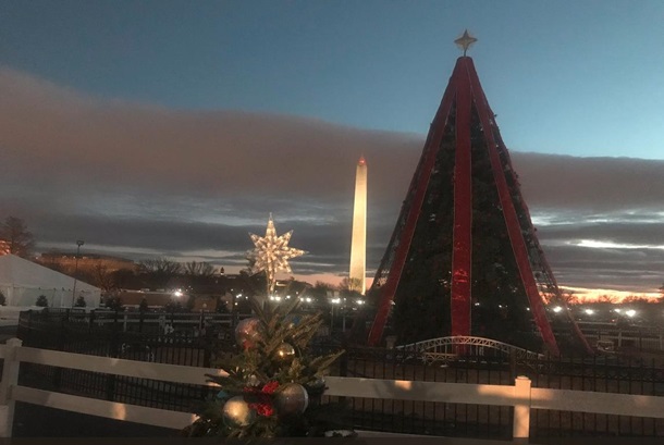 Главная елка США погасла из-за шатдауна