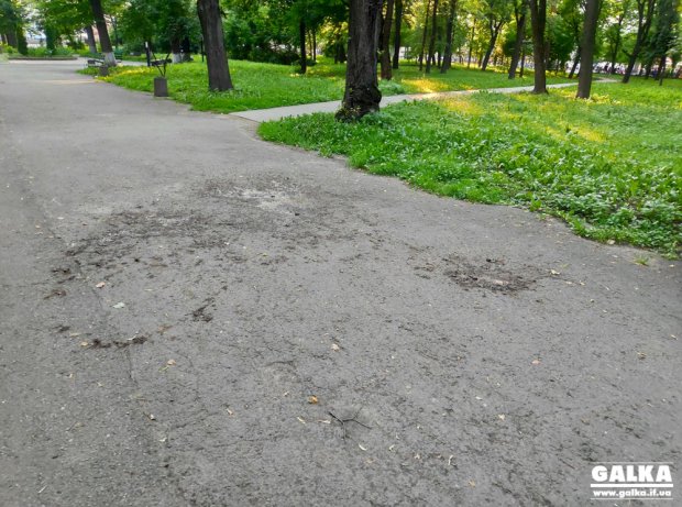 Экс-кандидата в президенты облили нечистотами во Франковске: видео, фото