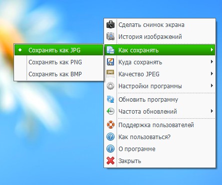 Как быстро сделать скриншот: ТОП-10 полезных программ, которые понадобятся каждому