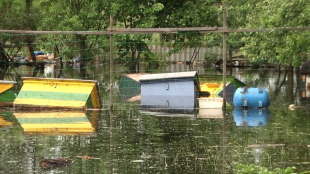 На Львовщине затопило городок: можно ли было предупредить катастрофу