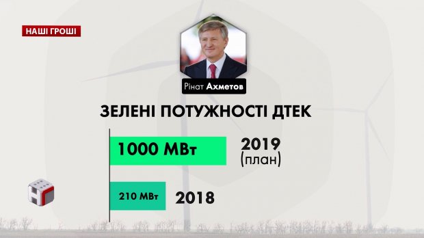 От Аваковых и Ахметова до советника Порошенко: коррупционная схема зеленого энергобизнеса