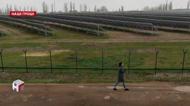 От Аваковых и Ахметова до советника Порошенко: коррупционная схема зеленого энергобизнеса