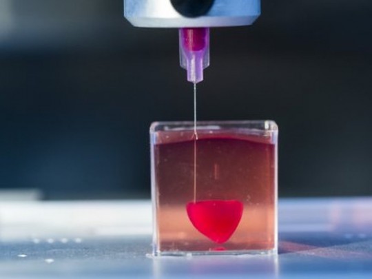 Ученые впервые напечатали на 3D-принтере живое сердце