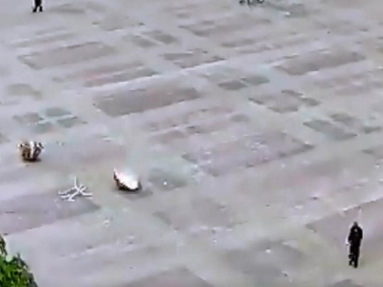 В Тернополе хулиган среди бела дня разбил писанку (видео)