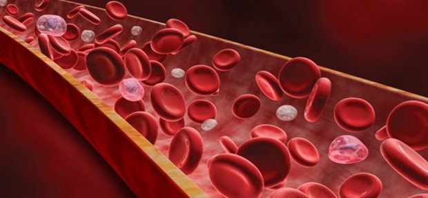 Знайшли взаємозвязок між хворобою Альцгеймера та холестерином