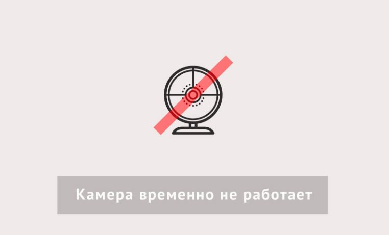Работу весовой на Херсонщине можно посмотреть онлайн: но обе камеры не работают