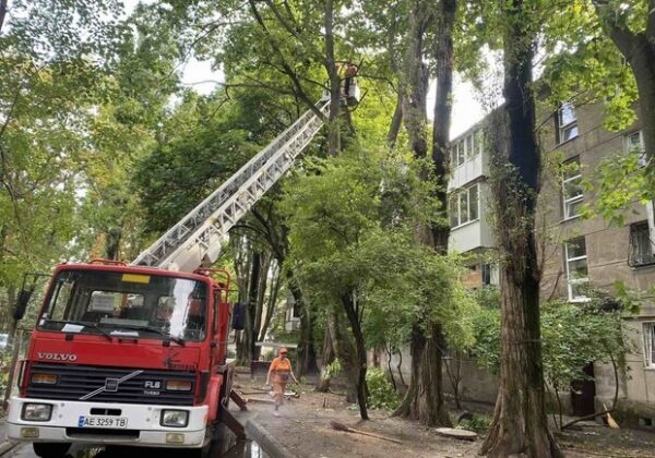 Из-за последствия ночной непогоды в Одессе попадали деревья, а в области пропал свет