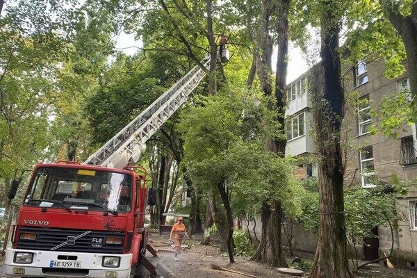 Из-за последствия ночной непогоды в Одессе попадали деревья, а в области пропал свет