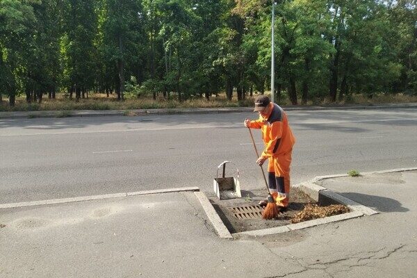 Из-за последствия ночной непогоды в Одессе попадали деревья, а в области пропал свет