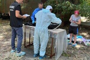 Из-за уничтожения дельфинов в Черном море открыли уголовное производство 