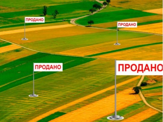 ЗМІ з'ясували, за&nbsp;якими &laquo;схемами&raquo; сім'я &laquo;слуги народу&raquo; Романька отримала 100 земельних ділянок
