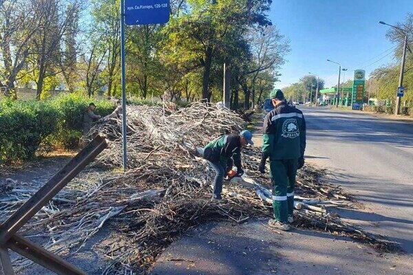Деревопад и обесточенные населенные пункты: к каким последствиям привела непогода в Одесской области Деревопад и обесточенные населенные пункты: к каким последствиям привела непогода в Одесской области