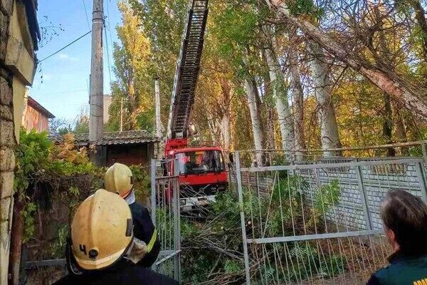 Деревопад и обесточенные населенные пункты: к каким последствиям привела непогода в Одесской области Деревопад и обесточенные населенные пункты: к каким последствиям привела непогода в Одесской области