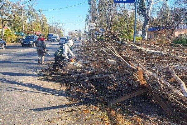 Деревопад и обесточенные населенные пункты: к каким последствиям привела непогода в Одесской области Деревопад и обесточенные населенные пункты: к каким последствиям привела непогода в Одесской области