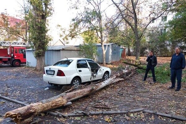 Деревопад и обесточенные населенные пункты: к каким последствиям привела непогода в Одесской области Деревопад и обесточенные населенные пункты: к каким последствиям привела непогода в Одесской области