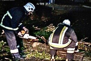 Деревопад и обесточенные населенные пункты: к каким последствиям привела непогода в Одесской области Деревопад и обесточенные населенные пункты: к каким последствиям привела непогода в Одесской области