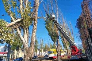 Деревопад и обесточенные населенные пункты: к каким последствиям привела непогода в Одесской области Деревопад и обесточенные населенные пункты: к каким последствиям привела непогода в Одесской области