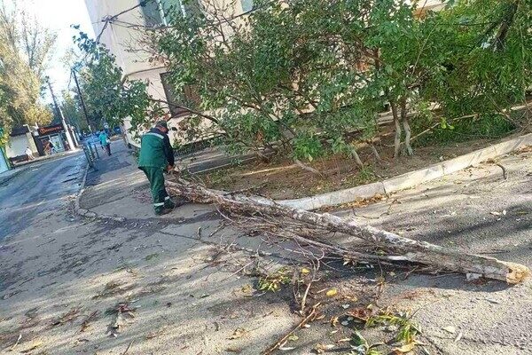 Деревопад и обесточенные населенные пункты: к каким последствиям привела непогода в Одесской области Деревопад и обесточенные населенные пункты: к каким последствиям привела непогода в Одесской области