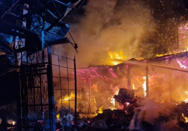 В Одесской области горели дом и сухая трава: погибла пожилая женщина