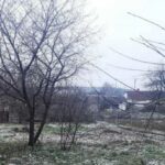 Достатньо просто розсипати на снігу: які добрива використовувати взимку на дачній ділянці