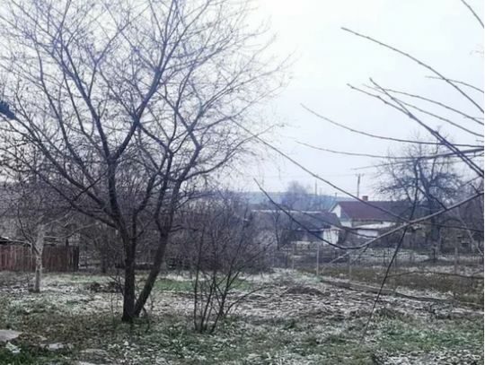 Достатньо просто розсипати на&nbsp;снігу: які добрива використовувати взимку на&nbsp;дачній ділянці