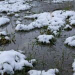 Зима розкисла на День закоханих: у вихідні синоптики прогнозують в Україні до +12