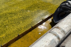 Из-за удара по порту на Одесщине в море попали тонны подсолнечного масла