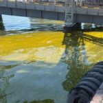 Из-за удара по порту на Одесщине в море попали тонны подсолнечного масла