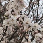 Близнюкам — не вестись на авантюри, Тельцям — уникати токсичного спілкування: гороскоп на 11 квітня
