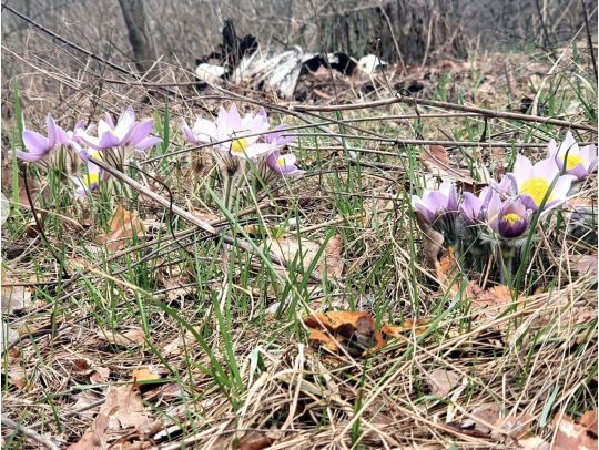 Ракам потрібно виявити ділову ініціативу, а&nbsp;Дівам&nbsp;&mdash; добре відпочити: гороскоп на&nbsp;8 квітня